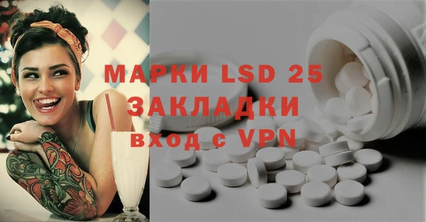 a pvp Аркадак