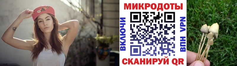 купить наркотик Малоархангельск Псилоцибиновые грибы Psilocybine cubensis